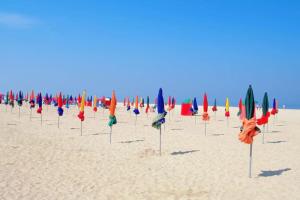 Le jardin de Deauville