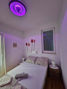 Apartment Tena