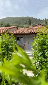 Olga's Sea View Studios - Pyrgi