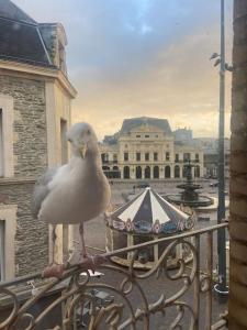 Appartements Grand appartement vue theatre Hyper Centre : photos des chambres