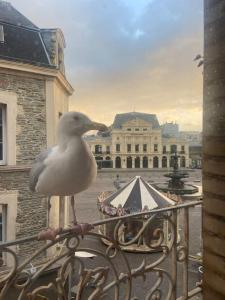 Appartements Grand appartement vue theatre Hyper Centre : photos des chambres