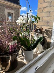 Appartements Grand appartement vue theatre Hyper Centre : photos des chambres