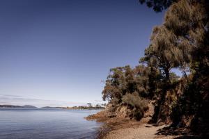 Lazy Susan=s= Waterfront Shack