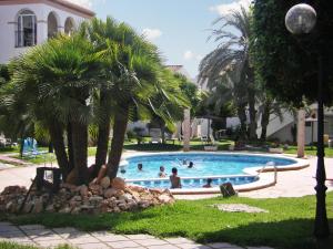 Spacious apartment in Playa Flamenca with shared pool