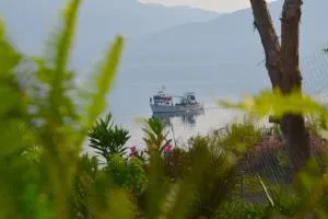 Terra Saronia - Taktikoúpolis