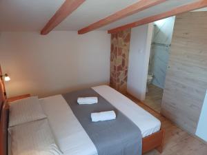 Accomodation Suran