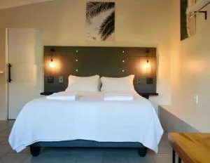 Traveller's Palm - Greenwood Park