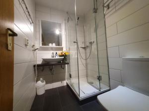 Double Room with shower/toilet room in Hotel-Pension Grüne Linde