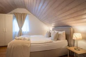 EPA Apartment - Switzerland style - 卡佩尔-格拉芬豪森