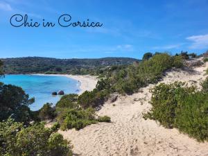 Appartements Apt 91, T2 a LECCI avec piscines, proche plage : photos des chambres