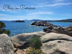 Appartements Apt 91, T2 a LECCI avec piscines, proche plage : photos des chambres