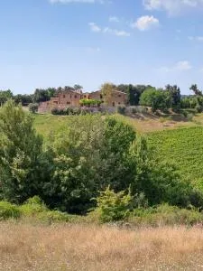 Podere Sole - Trequanda