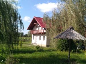 Camera Primăverii 1