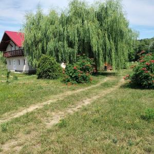 Camera Primăverii 1