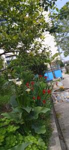 Green Oasis Holiday Home Vlore