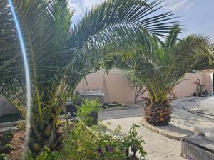 Ni 100%Gite,Ni100% loc chez Kheira&Pascal