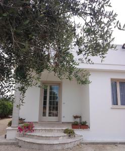 Nonno Pippi - Ubytování bez kategorie ve městě Lido Conchiglie