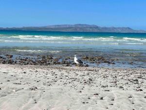 Bello departamento en Costa Azul