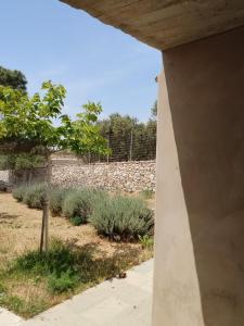 Oxalis Villas