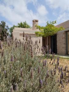 Oxalis Villas