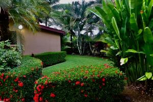 Villa Sendero By Vacationpuravida