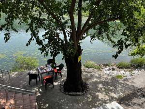 Lakeview Apartments Jolicic