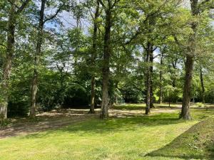 Au cœur des Bois