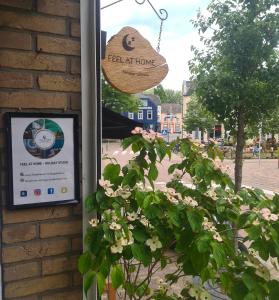 Feel at Home - Holiday Studio