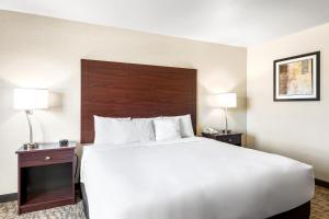 Boarders Inn & Suites by Cobblestone Hotels - Shawano