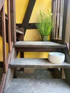 Maisons de vacances Ferme alsacienne de charme : photos des chambres