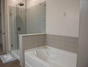 Luxe Atlanta Skyline Views