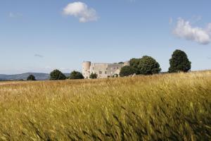 B&B / Chambres d'hotes Chateau de la Gabelle Ferrassieres : photos des chambres