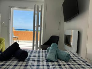 VVR Estudio naturista 1ª línea