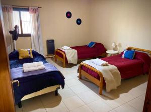 Departamento "Soft & Central"