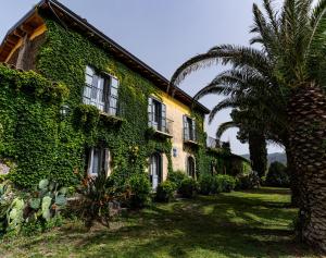 Tenuta Rustìca 1519