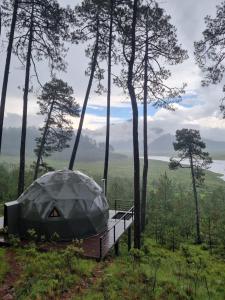 Lobo Glamp corral de piedra