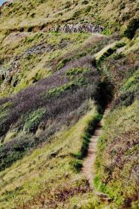 Appartements Cosy apartment with large terrace near the beach : photos des chambres