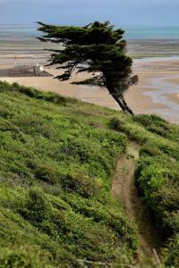 Appartements A 100 m2 appartement with terrasse near the beach : Appartement