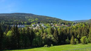 Rezidence Alpina - Apartmán 15