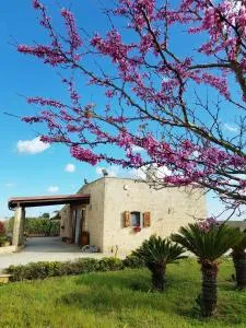 Salento Dimora Carcara - Depressa