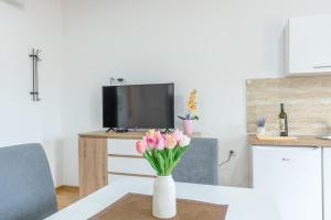 Apartmani Central 11 & Free parking