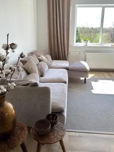 Liiva Paasukese Apartment - Liiva