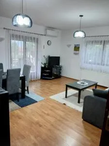 Apartman AM Mladenović - Donje Vranje