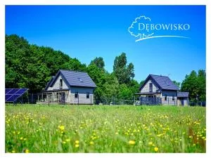 Dębowisko Sasino - Strzeżewo