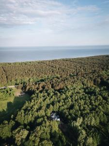 NEMIRSETA FOREST Apartments