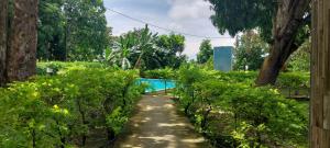 Hotel Cabañas Casita La Ermita