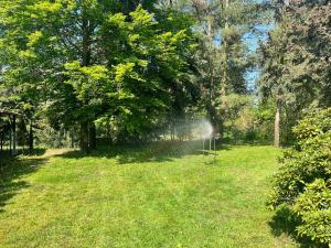 Ferienhaus im Wald, am Briesener See