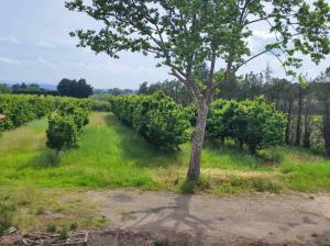 Chambre 3 personnes avec salle de bain dans mas du Lubéron