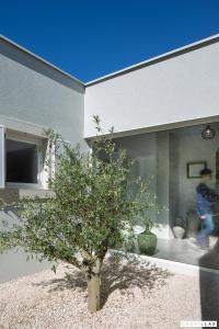 Stunning Villa In Cepljani With Outdoor Swimming Pool, Wifi And 3 Bedrooms 