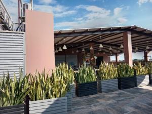 HOTEL NABU VALLEDUPAR